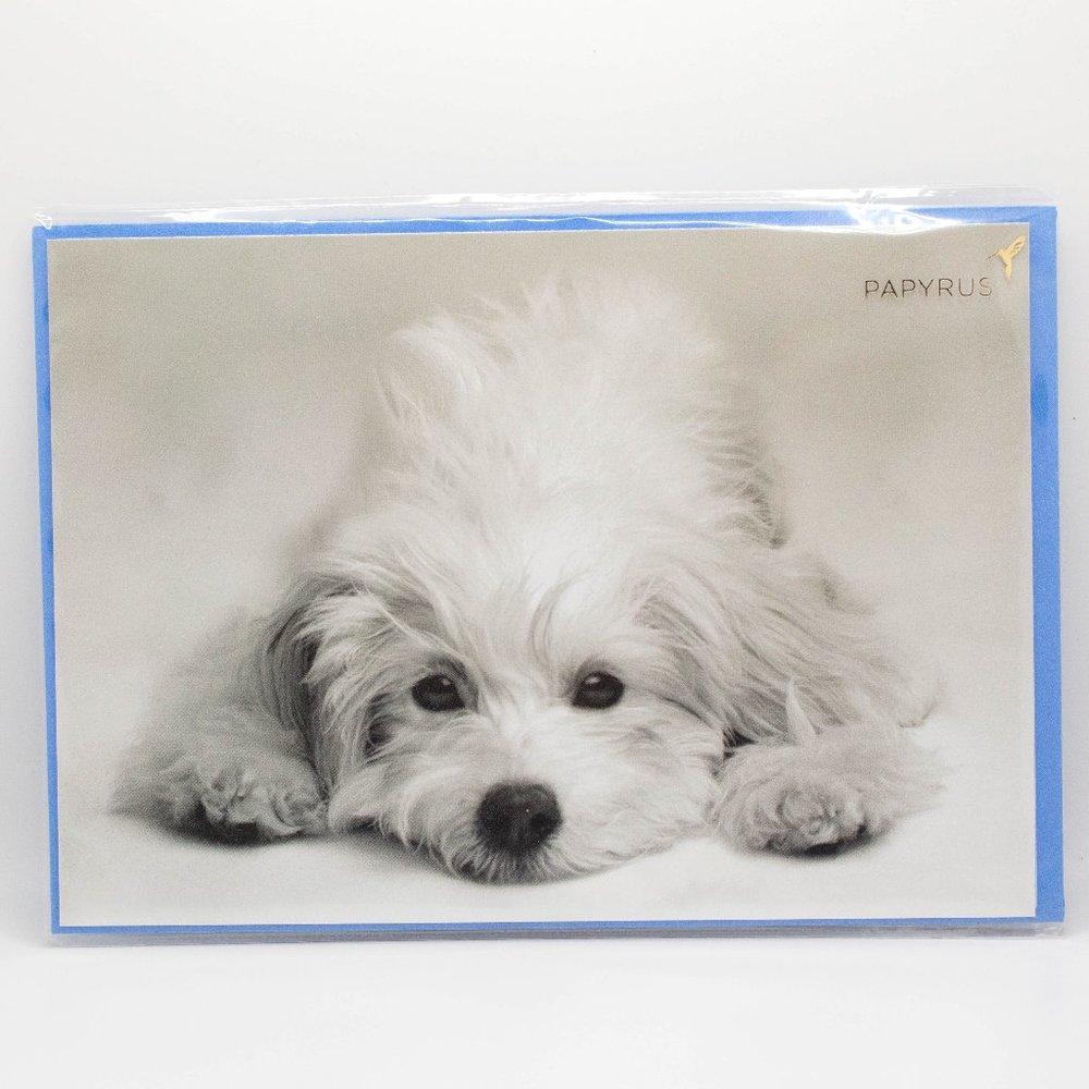 Thinking of You Keith Kimberlin B&W Puppy Dog Papyrus Card